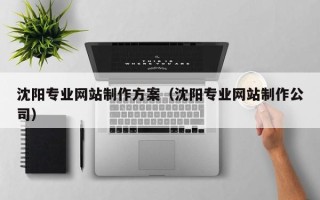 庆阳沈阳专业网站制作方案（沈阳专业网站制作公司）